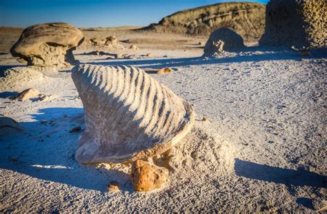 Bisti Badlands/De-Na-Zin Wilderness, New Mexico | Travel new mexico, New mexico, Land of enchantment