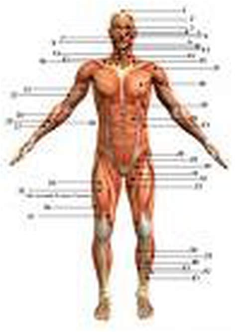 Causes and remedies for muscle stiffness - nj.com