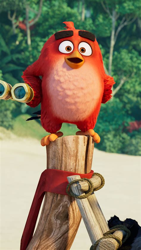 chuck, Angry Birds Movie, bomb, red, Best Animation Movies of 2016, HD Wallpaper | Rare Gallery