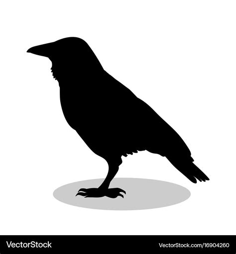 Raven bird black silhouette anima Royalty Free Vector Image