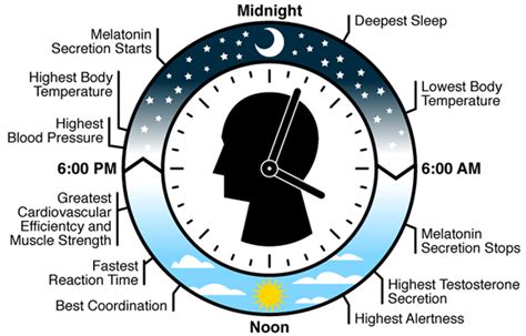 Every Day Is Special: April 28 – Biological Clock Day