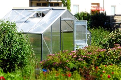 Polytunnel or Greenhouse – Pro’s and Con’s – No Dig Vegetable Gardening ...