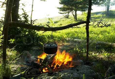 Campfire in forest | Stock Photo | Colourbox