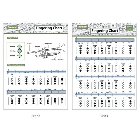 Buy MUMIAO Trumpet Chord Fingering Chart | Trumpet Fingering Trumpet ...