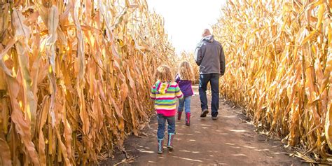 30 Best Corn Mazes Near Me - The Best Haunted and Family-Friendly Corn Mazes in America