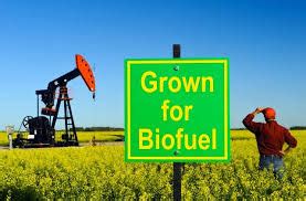 First Generation Biofuels Including their Common Types