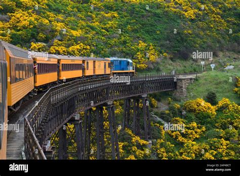 A viaduct on the Taieri Gorge railway, Central Otago, New Zealand Stock Photo - Alamy