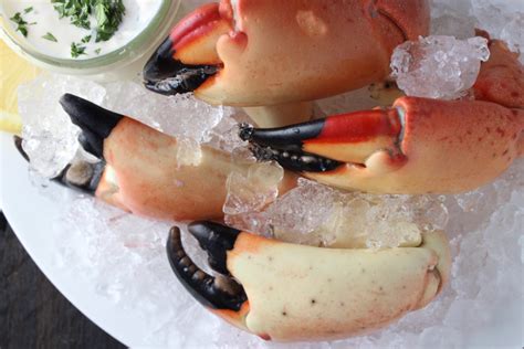 It's Stone Crab Season! | My Delicious Blog