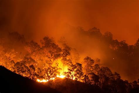 Australia's Bushfires Are Still Burning — Here's How to Help | The Discoverer