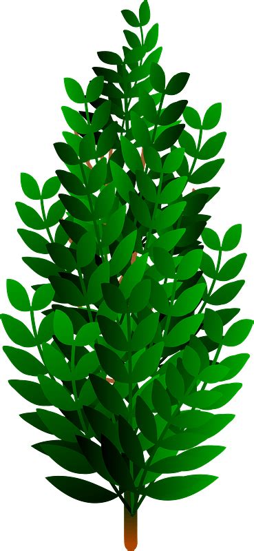 Bush clipart. Free download transparent .PNG | Creazilla