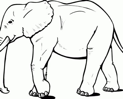 elephant stencil printable - Google Search | Elephant coloring page, Elephant outline, Cartoon ...