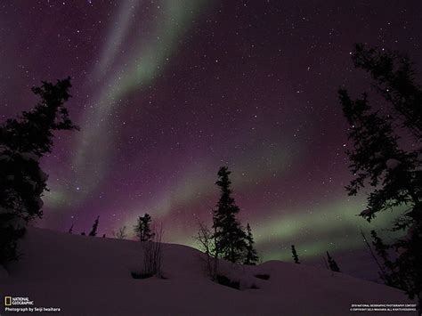 HD wallpaper: aurora borealis, landscape, snow, trees, night, National Geographic | Wallpaper Flare