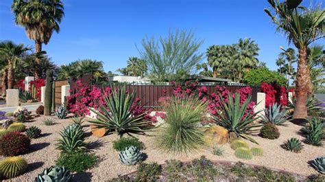 Why Native Grasses are Great Low Water Use Plants