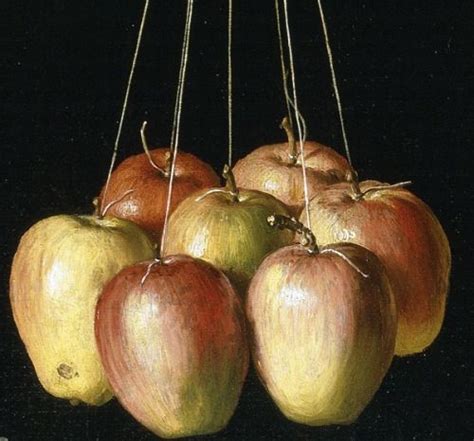 Mme Scherzo | Still life fruit, Natural form art, Still life art