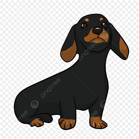 Dachshund Animated Clipart Hd PNG, Looking Up Animal Dachshund Clipart ...