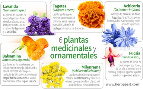 Polgári kábel igény definicion de las plantas medicinales ó, drágám ...