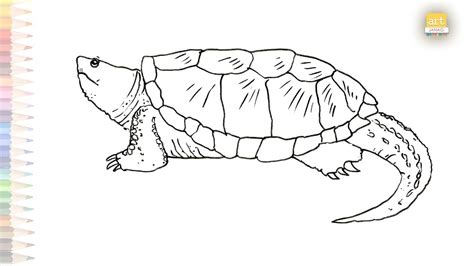 Alligator snapping turtle drawing easy | How to draw Alligator snapping turtle step by step ...