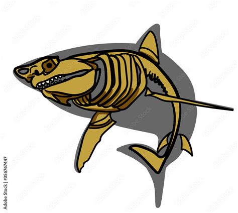 vector illustration of Great white shark skeleton AI Stock Vector ...