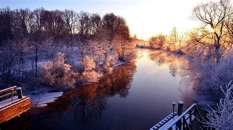 HD wallpaper: sweden landscape, winter, frost, cold, nature | Wallpaper ...