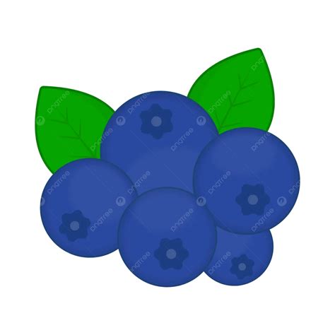 Blueberry Vector Illustration, Blueberry, Blueberry Fruit, Cute ...