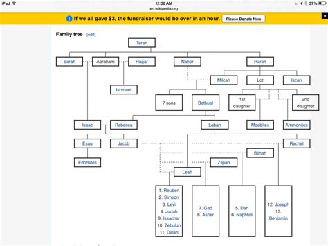 Abraham's Family Tree | Abrahams family tree, Family tree, Jacob and rachel