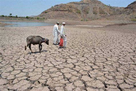 Parts of Maharashtra face drought as monsoons near end : The Tribune India