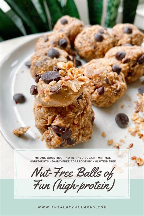 Nut-Free Balls of Fun (high protein) | Recipe | Food processor recipes, High protein snacks, Snacks