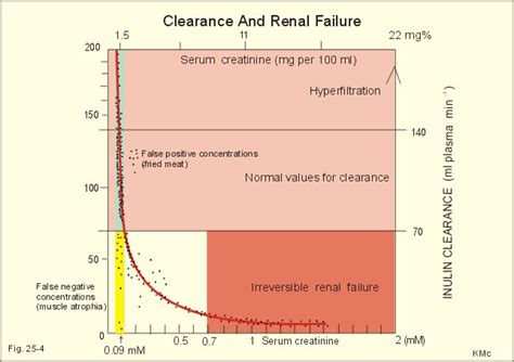 Creatinine Blood Test | Livers With Life