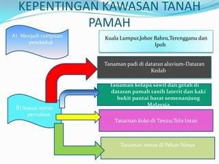 TANAH PAMAH | PPT