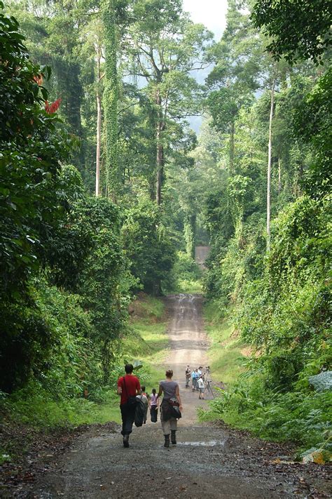 Things You Need To Know About Danum Valley | Borneo Eco Tours