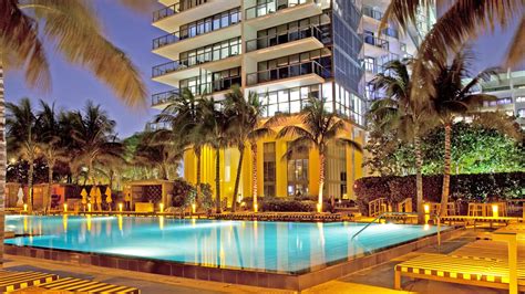 Pet-Friendly Hotels Miami | W South Beach