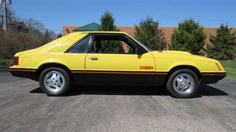 1979 Ford Mustang Cobra, 10K miles, Auto, SOLD! | Cincy Classic Cars