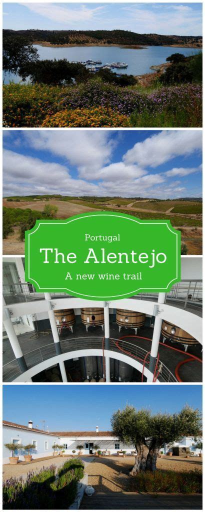 Wine Tours in the Alentejo – a new wine tourism | Wine tourism, Best beaches to visit, Portugal ...