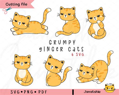 Ginger Cat Clipart