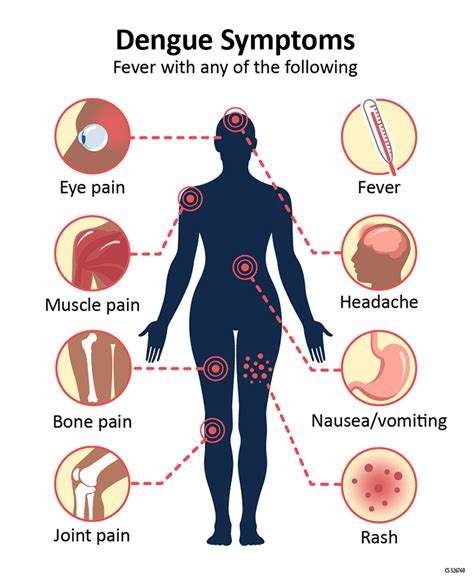 Dengue fever warning for travellers - Outback Travel Australia