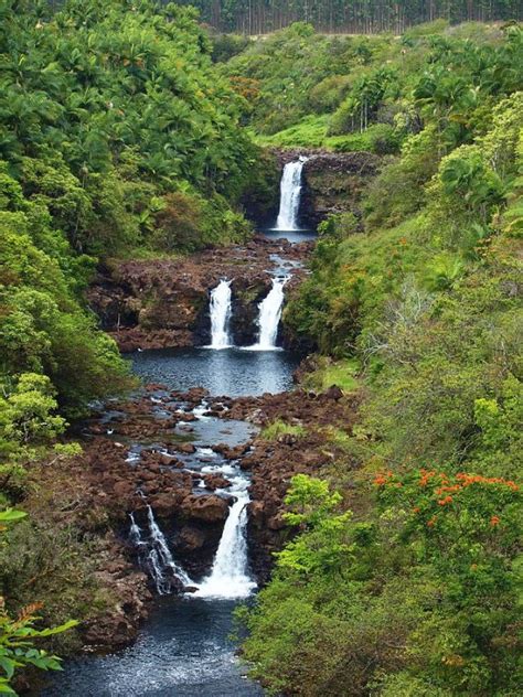 Umauma Falls Zipline Experience | Nifty Planet