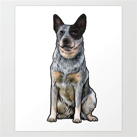 Australian Cattle Dog - Blue Heeler Dog Art Print by WhyitsmeDesign ...