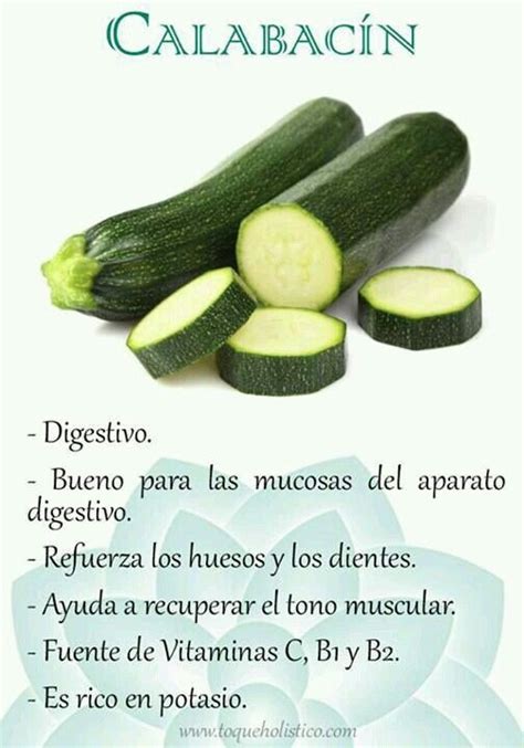 Beneficios del calabacin | Frutas y verduras beneficios, Nutrición ...