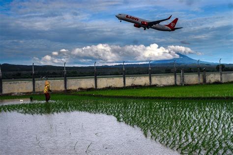 Rice Planting Season | Smithsonian Photo Contest | Smithsonian Magazine