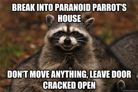 18 Evil Plotting Raccoon Memes That Will Make You Nervously Laugh Just a Little