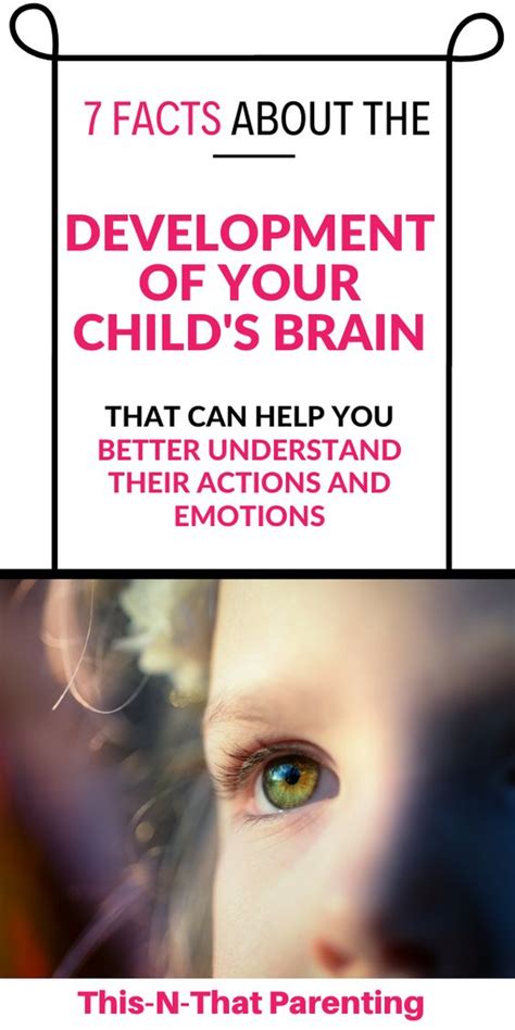 7 Facts About Your Child's Prefrontal Cortex That Are Game Changers ...