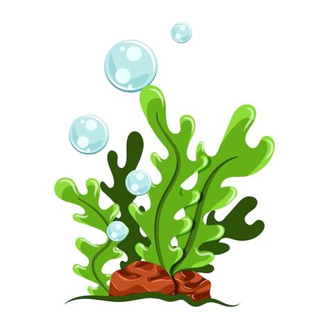 Green Seaweed Clipart Vector, Green Seaweed Clip Art, Seaweed - Clip Art Library