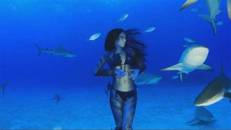 Video Real-Life Mermaid Swims With the Sharks - ABC News