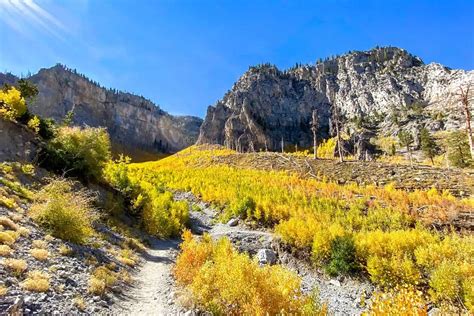 15 Mount Charleston Hiking Trails: Our Favorites