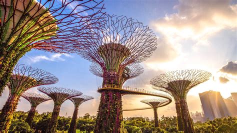 Gardens by the Bay Admission Ticket