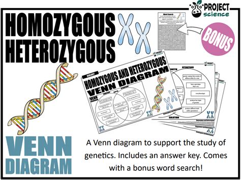 Genetics Homozygous and Heterozygous Venn Diagram | Teaching Resources