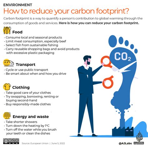 Infographic: How can you reduce your carbon footprint? – Ansar News