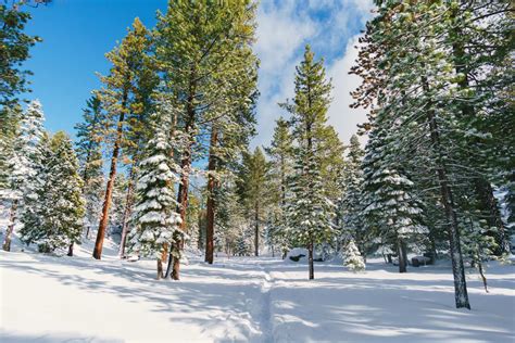 What to Do During a Lake Tahoe Winter | Plum Guide