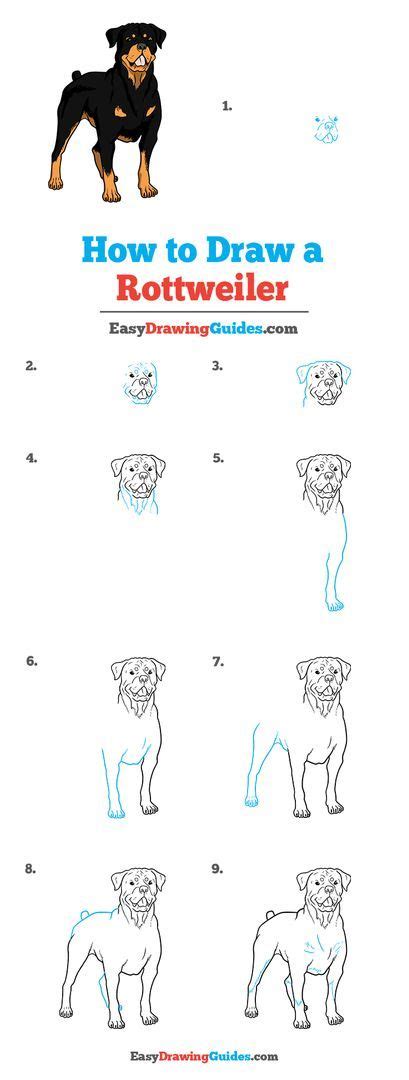 how to draw a rottweiler dog step by step instructions for children and ...