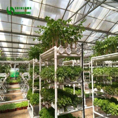 China Commercial Nft Vertical Hydroponics System Lettuce Culture for ...